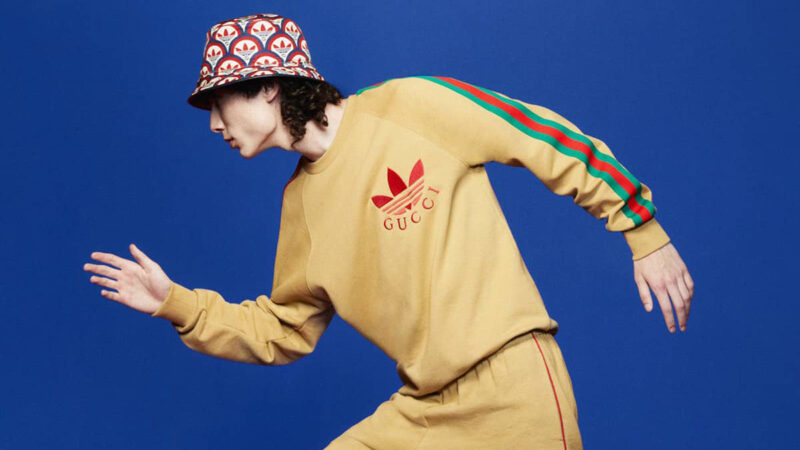 아디다스 x 구찌 adidas x GUCCI