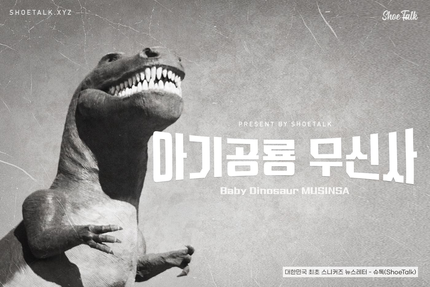 아기공룡 무신사 Baby Dinosaur MUSINSA